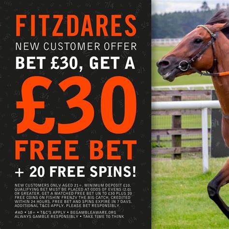 Dark Horse Bets Are Great Value .